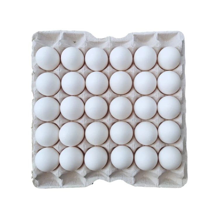 Sneha Select Omega-3 White Eggs