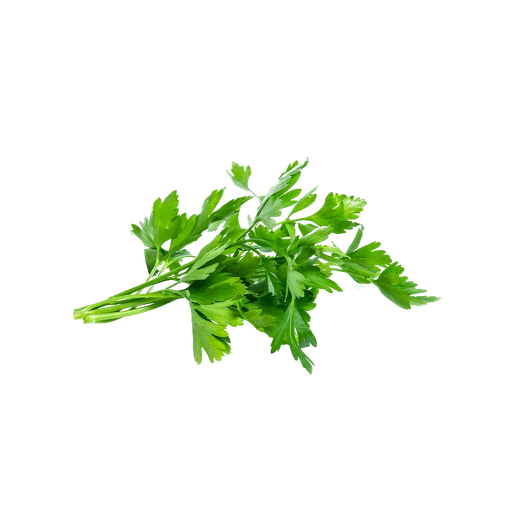 Parsley - Hydroponically Grown (Surali Parsli)