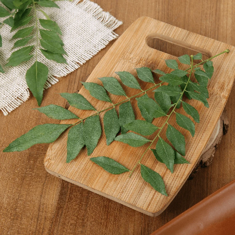 Organically Grown Curry Leaves - 50 g (Karibevina Soppu)