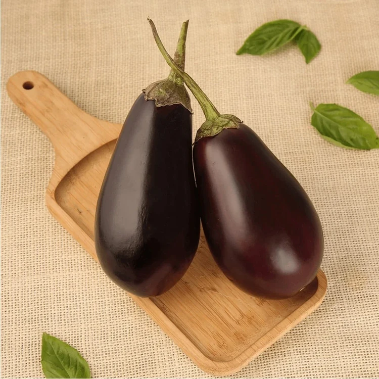 Organically Grown Brinjal - 2 pieces (500-700 g)