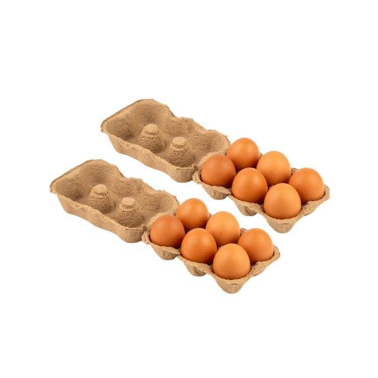 UPF Healthy Brown Eggs - 6 pieces - Pack of 2