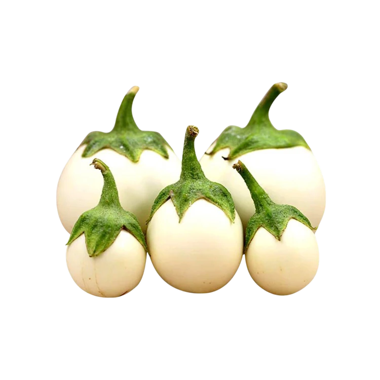 Small White Brinjal