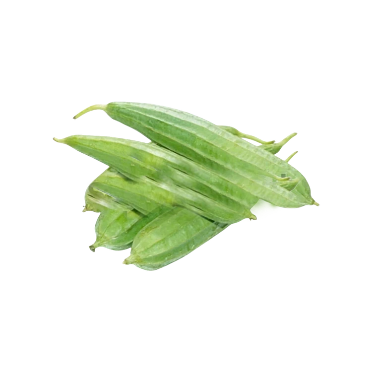 Small Ridge Gourd