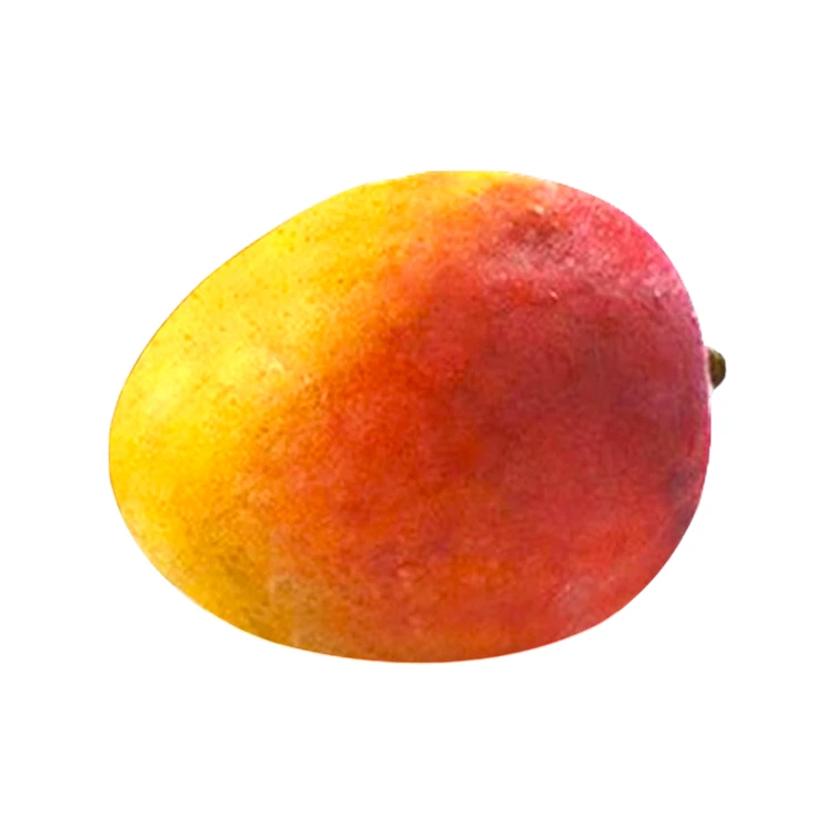 Organically Grown Neelam Mango - 2 piece (700-900 g)