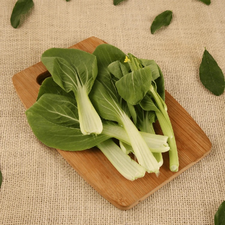 Bok Choy - Hydroponically Grown