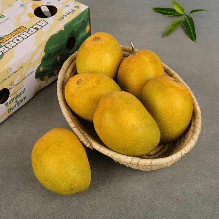 Ratnagiri Alphonso Mango