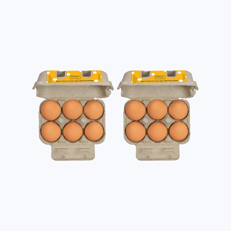 Eggoz Nutrition Protein Rich Brown Eggs (6 pieces) - Pack of 2