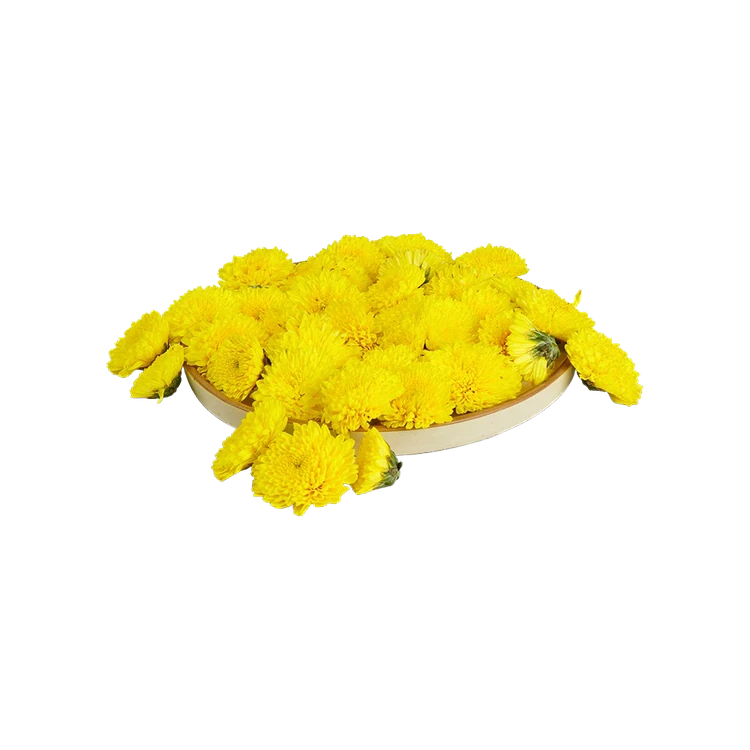 Chrysanthemum Flowers - Special Offer