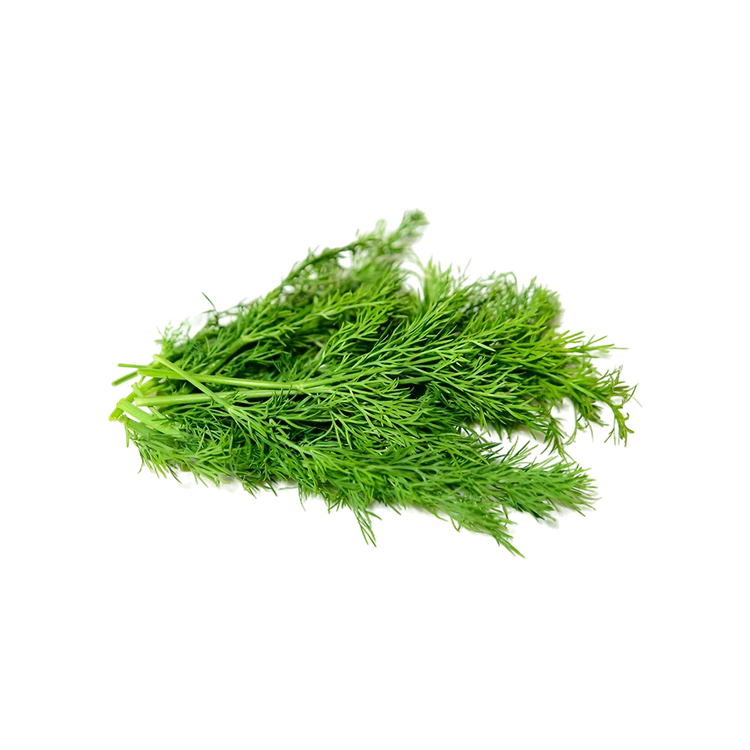 Dill Leaves (Shepu) (Sabsige Soppu)