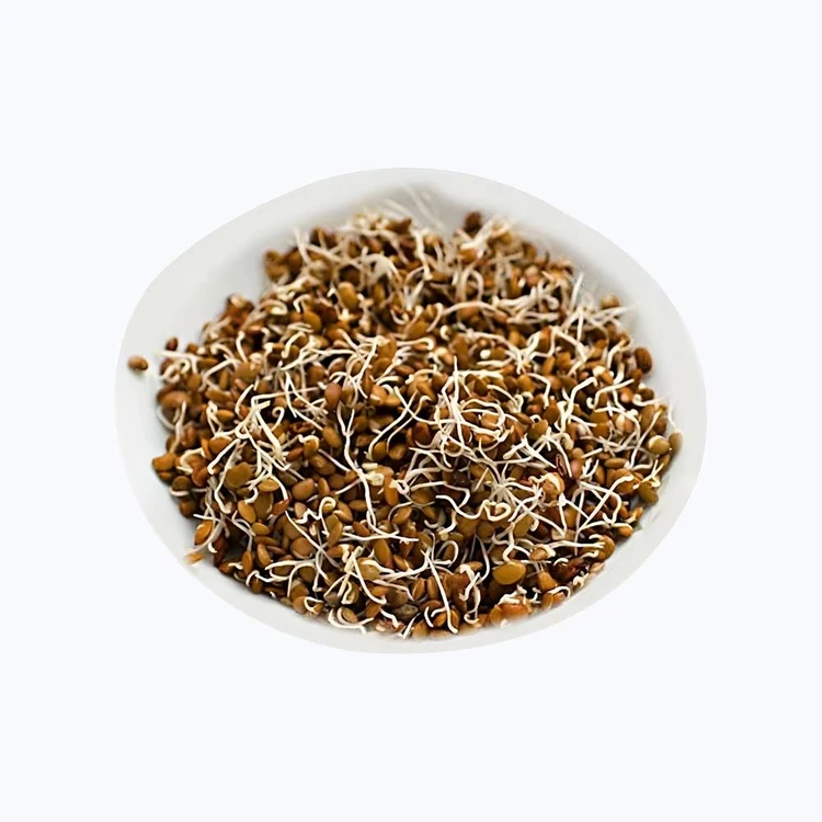 Horse Gram Sprouts (Molke Kalu)