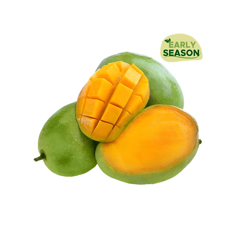Langra Mango (Maavina Hannu)