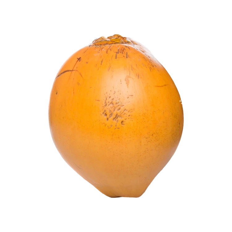 Chowghat Orange Dwarf Coconut (Uncut) (Thengina Kayi)