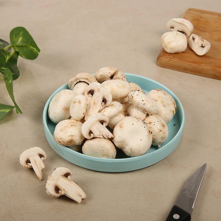 Button Mushroom (Anabe)