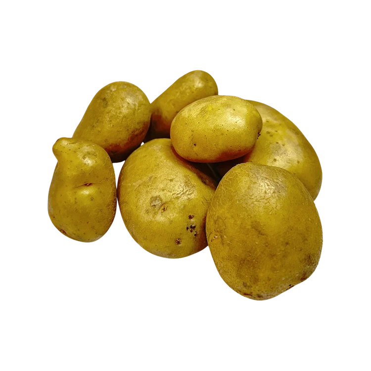 Jyoti Potato (Alugadde)
