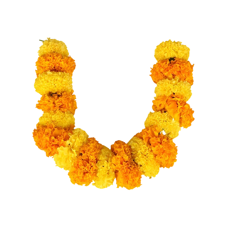 Mix Marigold Flower String - Special Offer