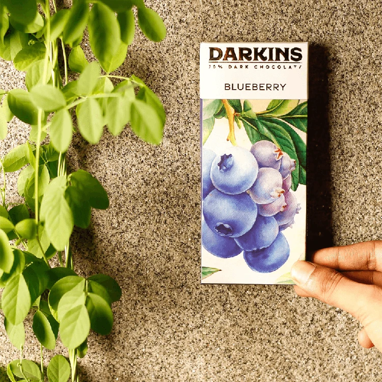 Darkins Blueberry 70% Dark Chocolate