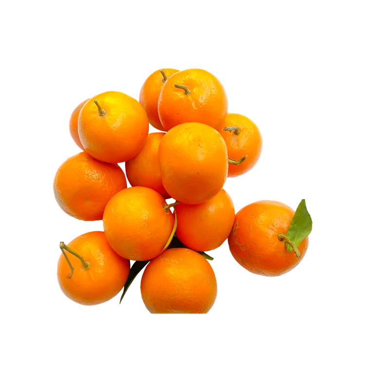 Kinnow Orange (Kittale Hannu)