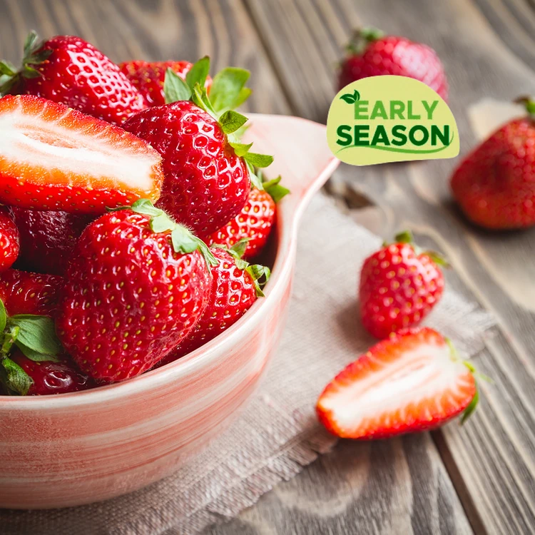 Chinese Grapes (Drakshi)