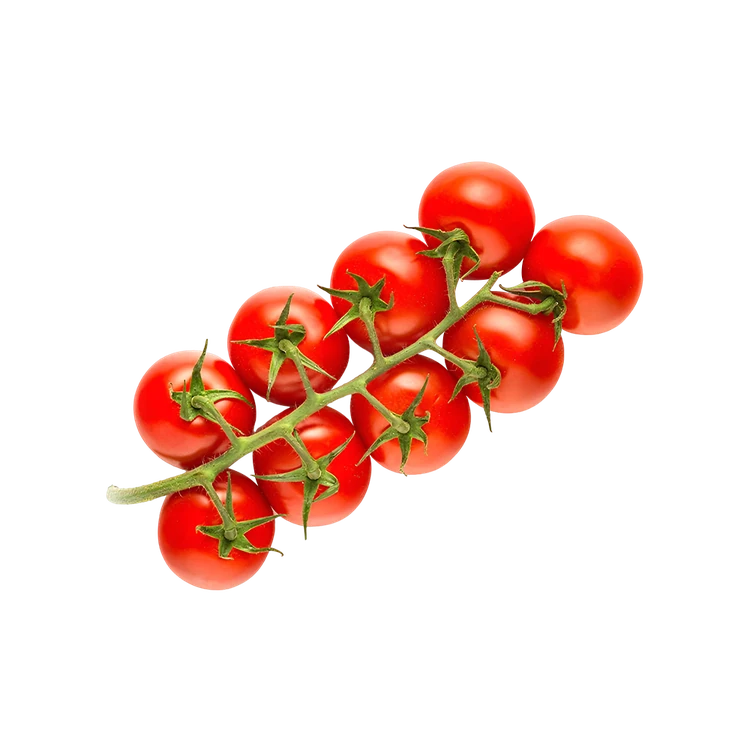 Tomatoes On Vine