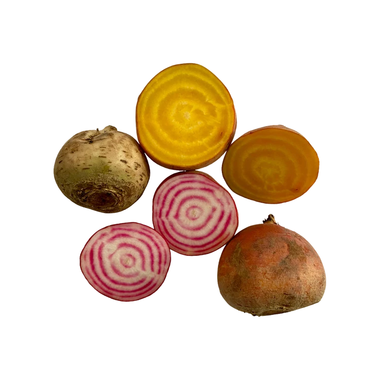 Heirloom Multi-Coloured Beetroot