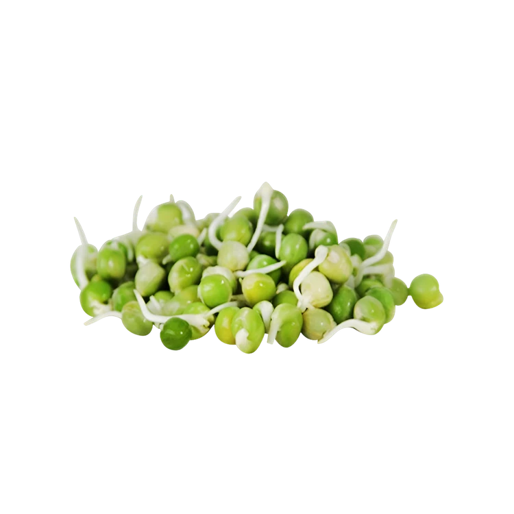 Peas Sprouts (Molke Kalu)