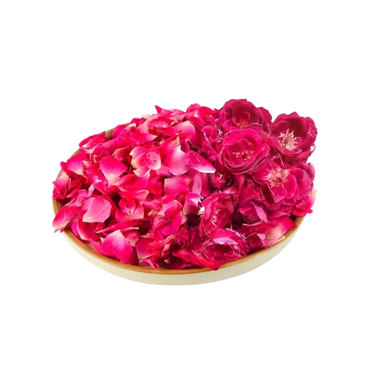 CC Rose Flower Petals