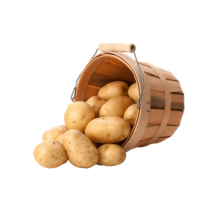 Potato (Chipsona) (Alugadde)
