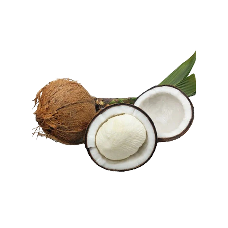 Sprouted Coconut (Thengina Kayi)