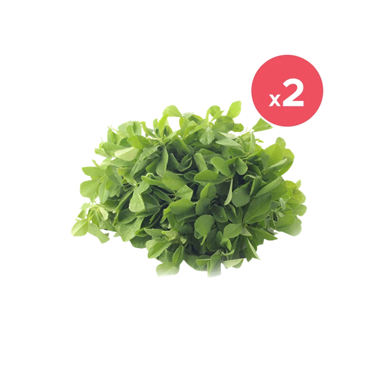 Fenugreek - Pack of 2 (Menthe Kalu)