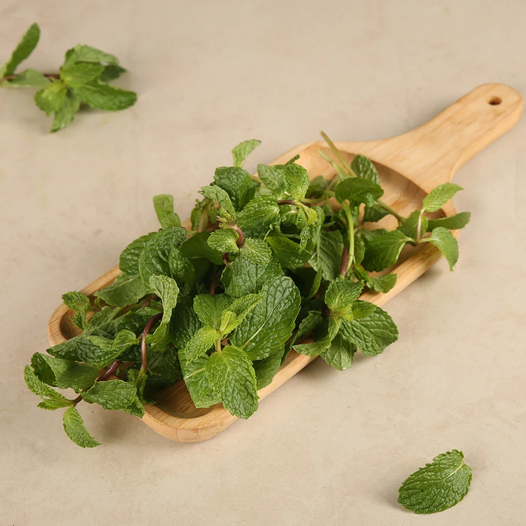 Mint Leaves (Without Roots) (Pudina Soppu)