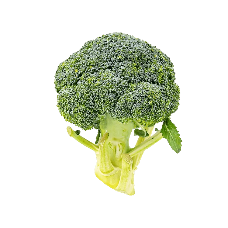 Hydroponic Broccoli (Kosugadde)