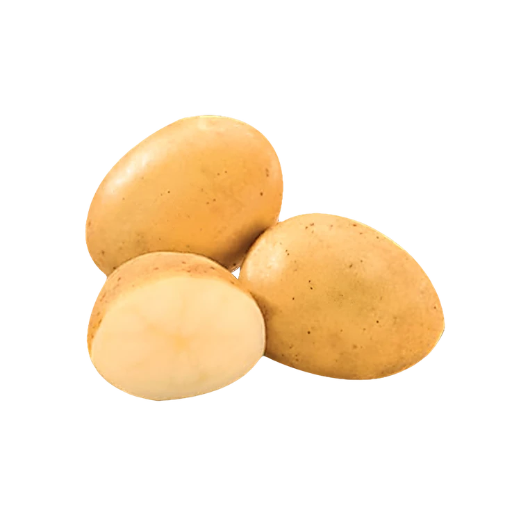 Low Sugar Potato (Chipsona) (Alugadde)