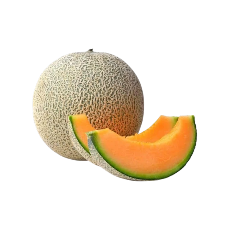 Honeydew Muskmelon - Imported