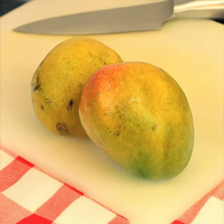 Pairi Mango