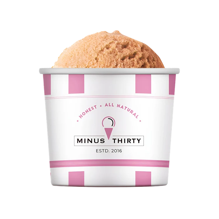 Minus Thirty Hazelnut Vegan Ice Cream Cup (Sugar Free)