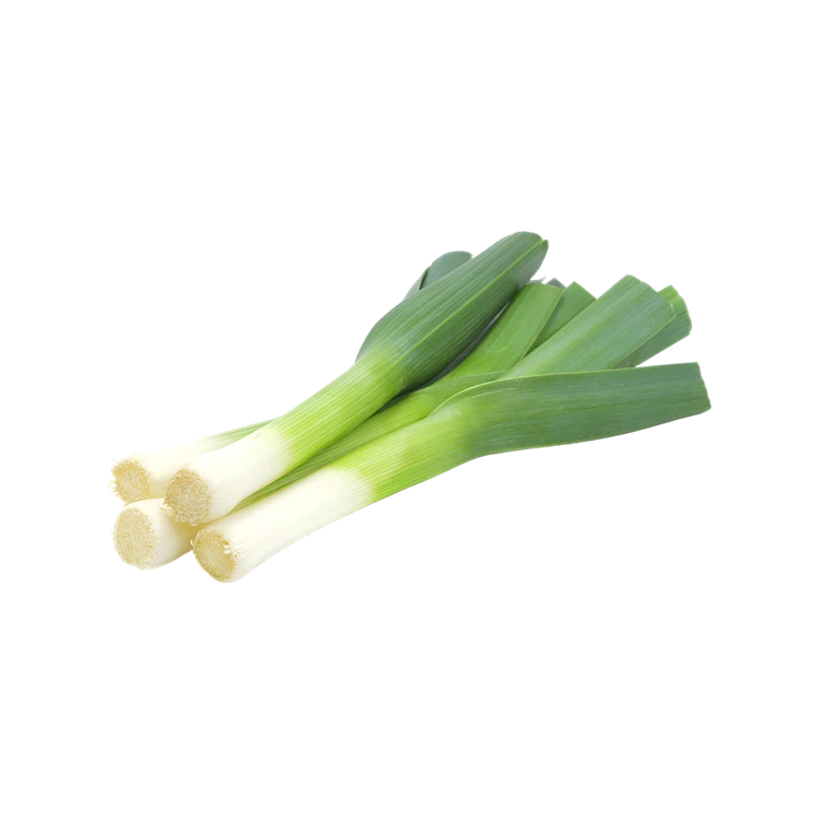 Leek
