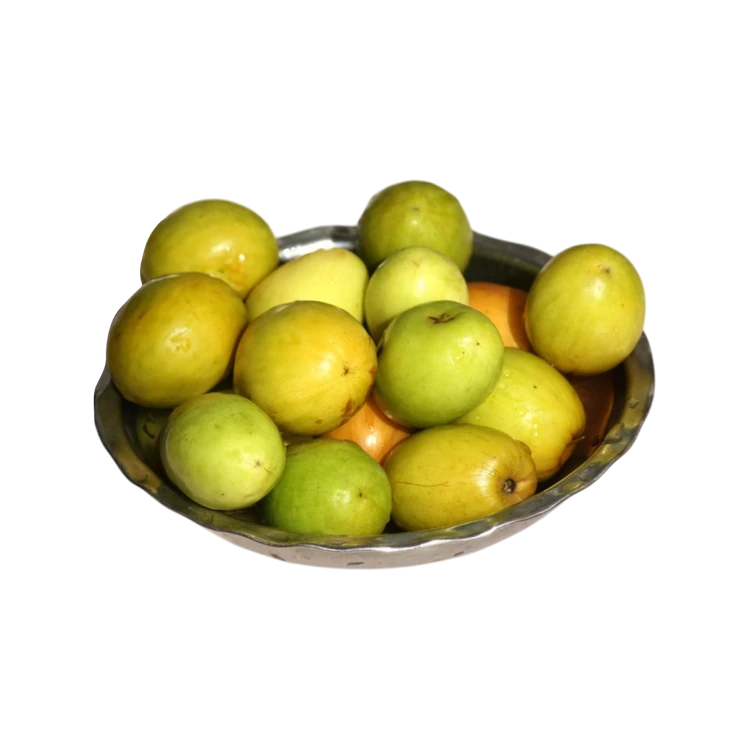 Indian Ber (Jujube)