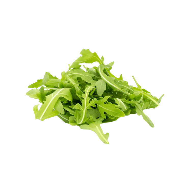 Hydroponic Arugula / Rocket Leaves