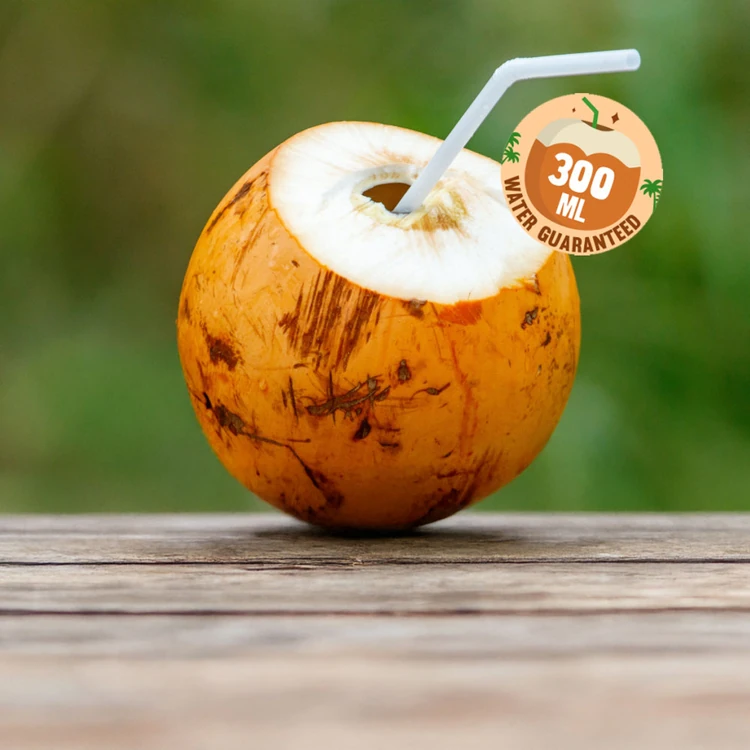 Chowghat Orange Dwarf Coconut (300+ ml) (Thengina Kayi)