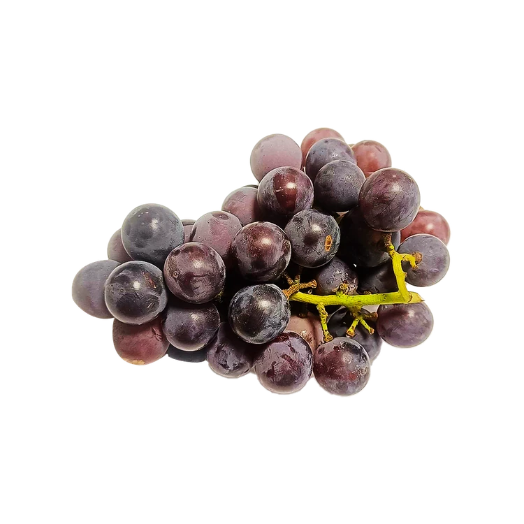 Grapes - Bangalore Blue (Nili Drakshigalu)