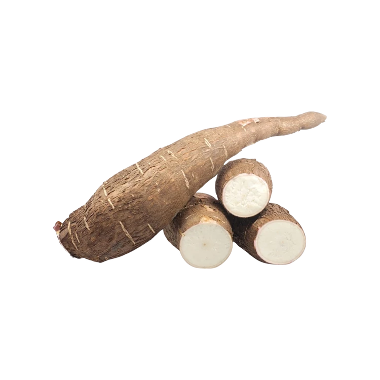 Tapioca (Maragenasu)