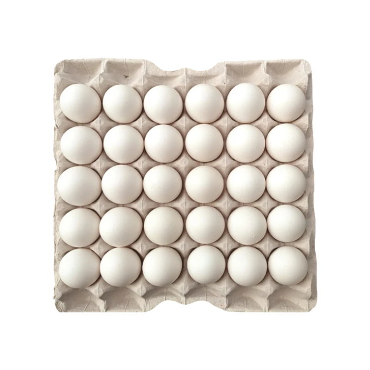 Sneha Select Table White Eggs