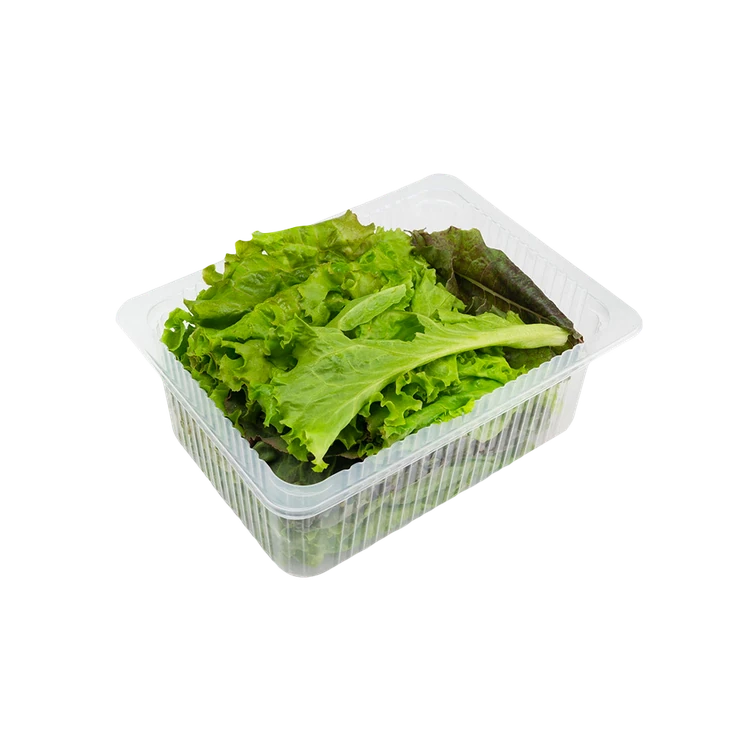 Lettuce Box - Hydroponically Grown (Letis Soppu)