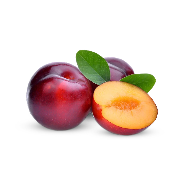 Organically Grown Plum