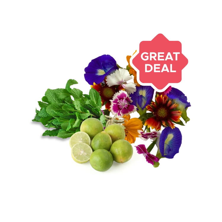 Mint Leaves + Lemon + Edible Flowers Mix Combo