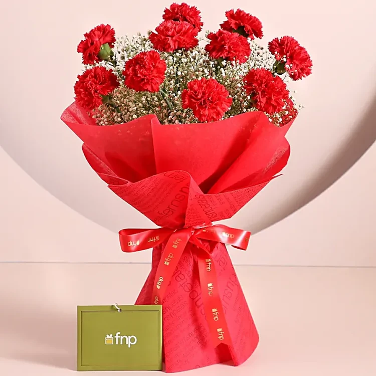 FNP 10 Red Carnations Bouquet