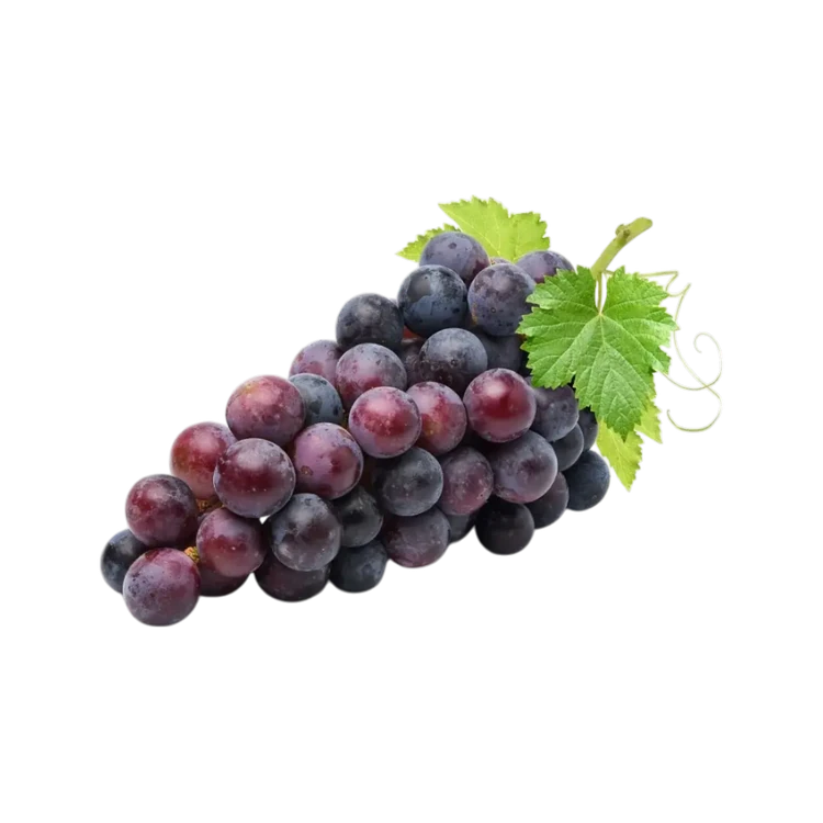Black Grapes (Kappu Drakshigalu)