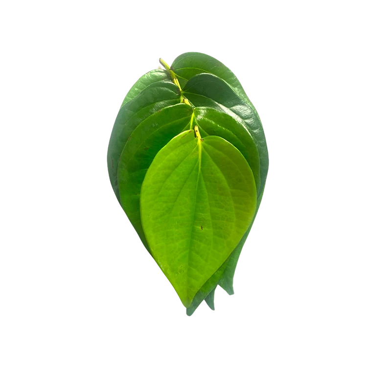 Betel Leaves Special Offer