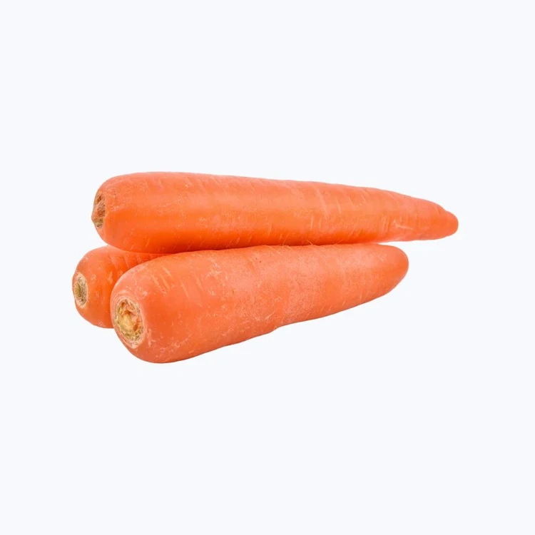 Orange Carrot