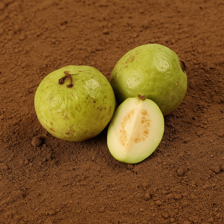 Organically Grown Guava - 600 g (Seebe Hannu)